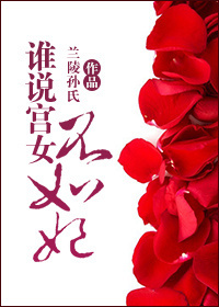 小说：谁说宫女不如妃，作者：兰陵孙氏