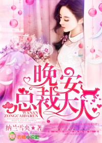 小说：晚安，总裁大人，作者：纳兰雪央