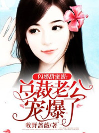 小说：闪婚甜蜜蜜：总裁老公宠爆了，作者：牧野蔷薇