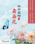 小说：幽幽蓝蝶霜染花，作者：遥香