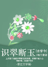 小说：[古穿今]识翠断玉，作者：纳兰紫诺