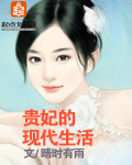 小说：贵妃的现代生活，作者：晴时有雨