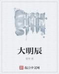 小说：大明辰，作者：管莞