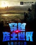 小说：穿越废土世界，作者：飞舞刀刃