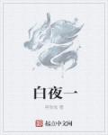 小说：白夜一，作者：容欣弦