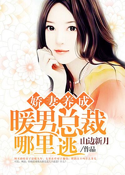 小说：娇妻养成：暖男总裁哪里逃，作者：山边新月