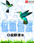 小说：无限之位面勘探，作者：寂静清水