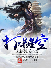 小说：打爆星空，作者：未语浅笑