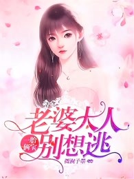 小说：沈蔓歌叶南弦，作者：微澜子墨