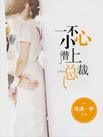 小说：一不小心潜上总裁，作者：难潇一梦