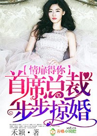 小说：情扉得你，首席总裁步步掠婚，作者：禾颖