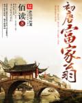 小说：初唐富家翁，作者：佰读