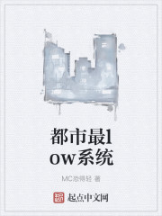 小说：都市最low系统，作者：MC恐得轻