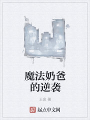 小说：魔法奶爸的逆袭，作者：王息