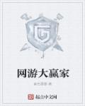 小说：网游大赢家，作者：紫色雷暴