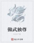 小说：傲武独尊，作者：先生夫子