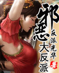 小说：邪恶大反派，作者：反派光华