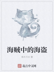 小说：海贼中的海盗，作者：南木弓长