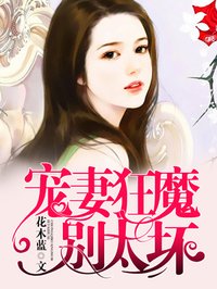 小说：宠妻狂魔别太坏，作者：花木蓝