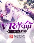 小说：VR革命，作者：一亿八千武