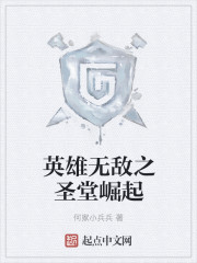 小说：英雄无敌之圣堂崛起，作者：何家小兵兵