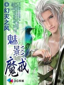小说：魅影魔戒，作者：幻灭之风
