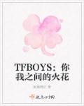 小说：TFBOYS：你我之间的火花，作者：琉璃祭忆