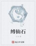 小说：缚仙石，作者：一打文