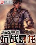 小说：抗战暴龙，作者：刘尚东88