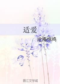 小说：适爱，作者：沧海惊鸿