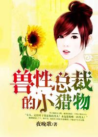小说：兽性总裁的小猎物，作者：夜晚歌