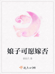 小说：娘子可愿嫁否，作者：香菇爪