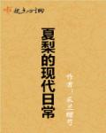 小说：夏梨的现代日常，作者：采兰赠芍