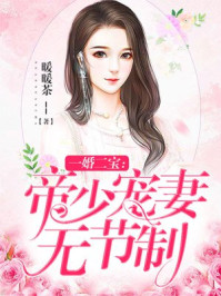 小说：一婚二宝：帝少宠妻无节制，作者：暖暖茶