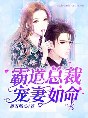 小说：霸道总裁宠妻如命，作者：初雪暖心