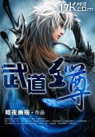 小说：武道至尊，作者：暗夜幽殇