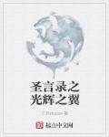 小说：失落的世界之光辉之翼，作者：千月moon