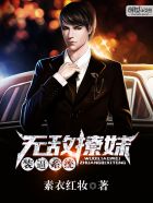 小说：无敌全能打脸系统，作者：素衣红妆
