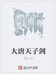 小说：大唐天子剑，作者：草跟人