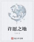 小说：许愿之地，作者：子清君