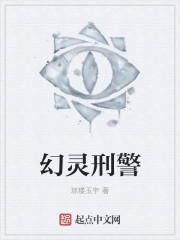 小说：幻灵刑警，作者：琼楼玉宇
