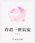 小说：许君一世长安，作者：舒静