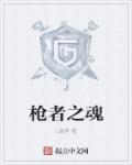 小说：枪者之魂，作者：L盗怪