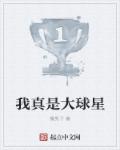 小说：我真是大球星，作者：撸男子