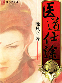 小说：医道仕途，作者：晚风