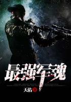 小说：最强军魂，作者：天佑