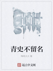 小说：青史不留名，作者：陶明大大