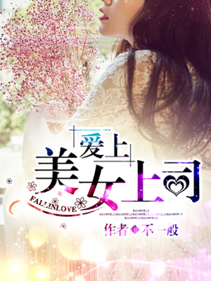 小说：爱上美女上司，作者：不一般