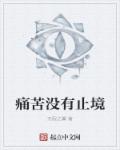 小说：痛苦没有止境，作者：无限之翼