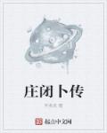 小说：庄闭卜传，作者：何多念